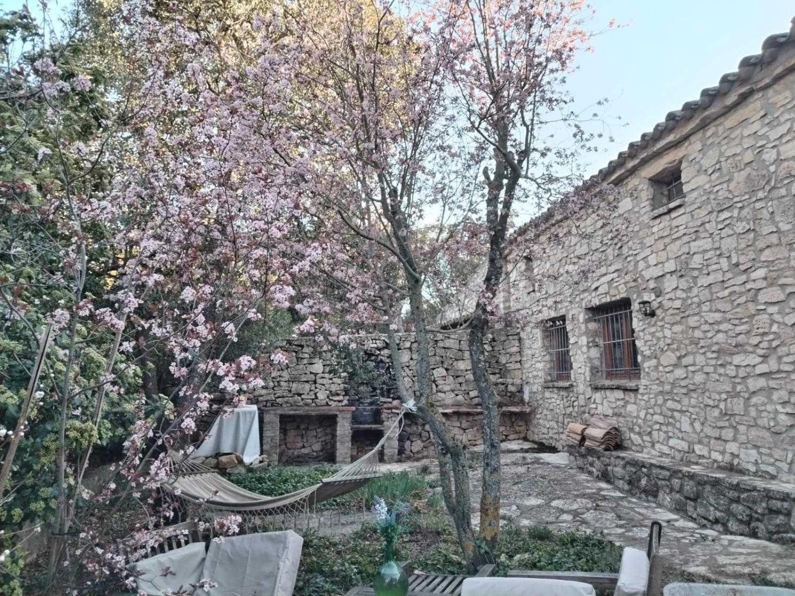 Masiadenjust Rojals Exterior foto